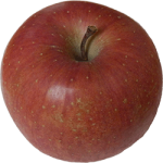 a red apple